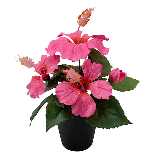 9.5&#x22; Potted Pink Hibiscus Plant by Ashland&#xAE;